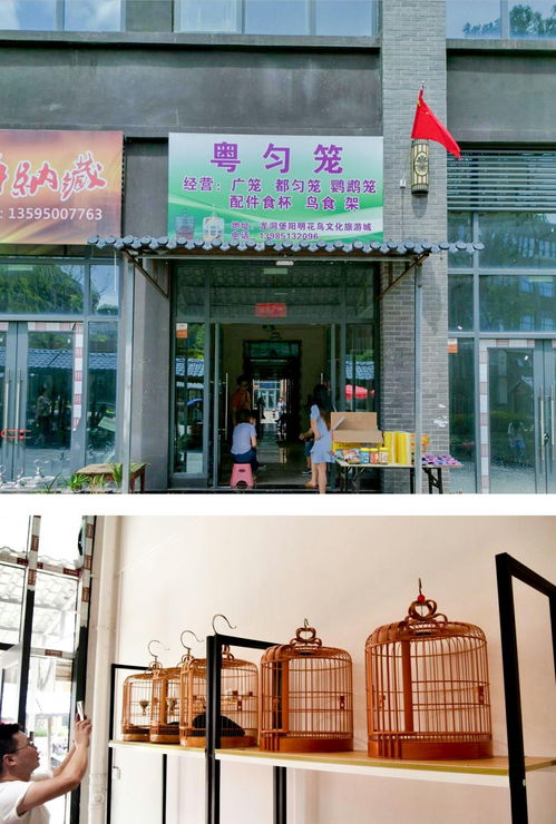 陽(yáng)明花鳥(niǎo)文旅城鳥(niǎo)具業(yè)態(tài)區(qū)黃金旺鋪 邀您共享商機(jī) 錢(qián) 景